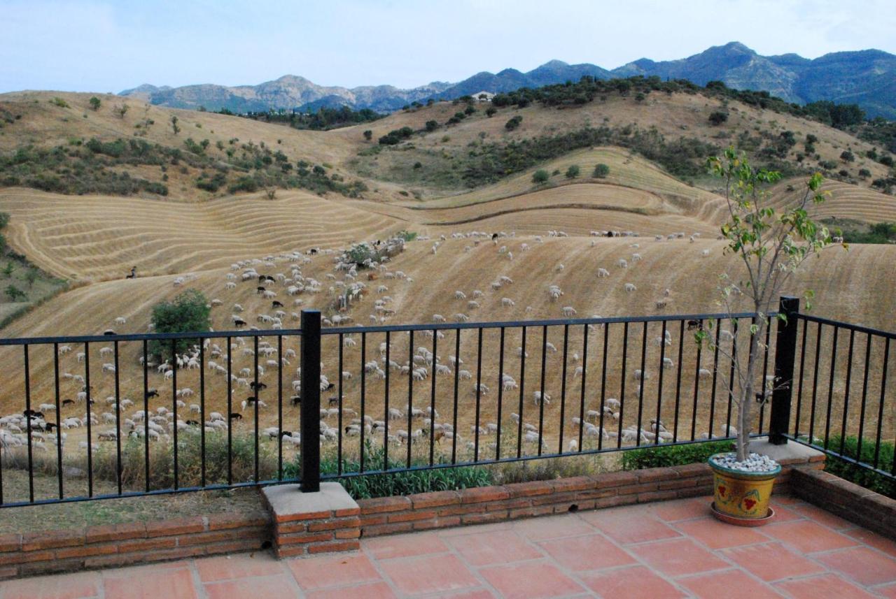 Bed & Breakfast Finca De Los Suenos Alhaurín de la Torre Екстериор снимка